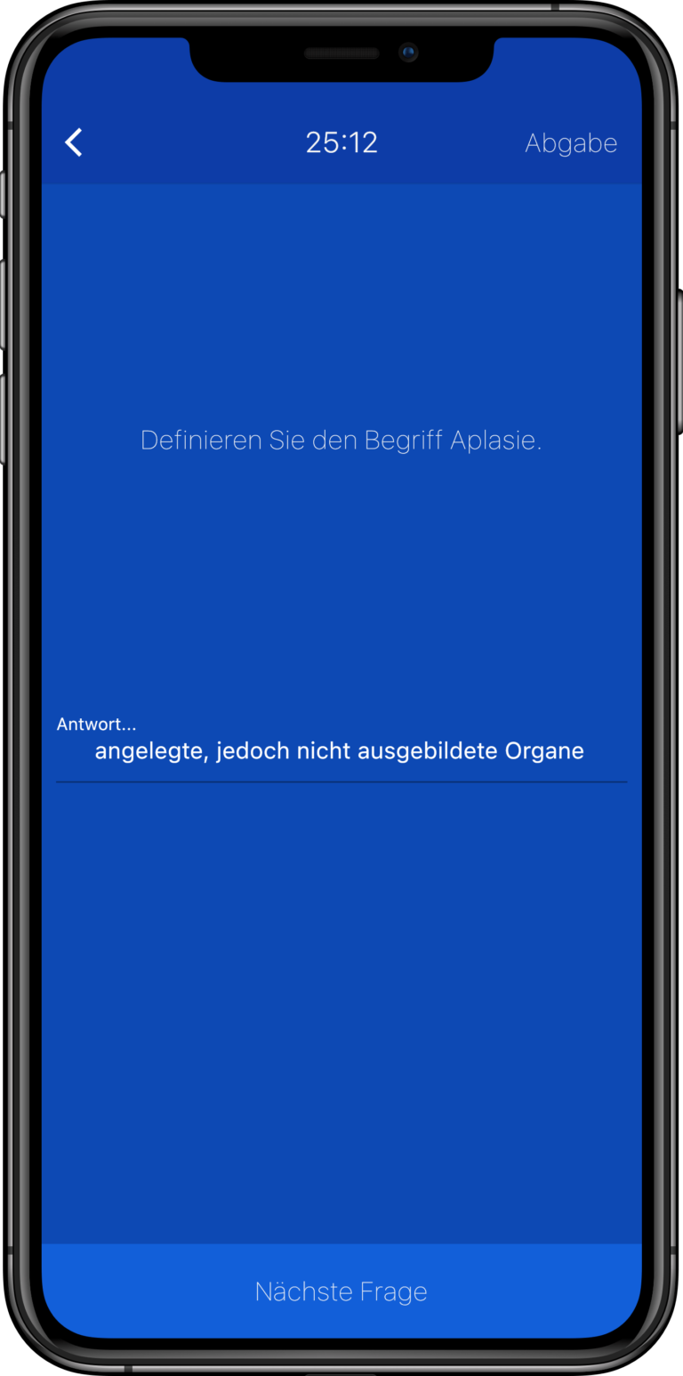 Screenshot Pruefung